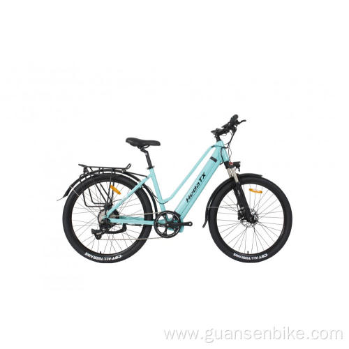 Customized 350w 500w Ebike Cycling Bicycle